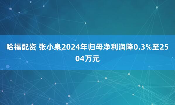 哈福配资 张小泉2024年归母净利润降0.3%至2504万元