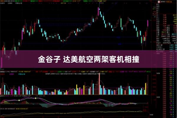 金谷子 达美航空两架客机相撞