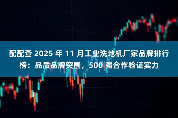 配配查 2025 年 11 月工业洗地机厂家品牌排行榜：品质品牌突围，500 强合作验证实力