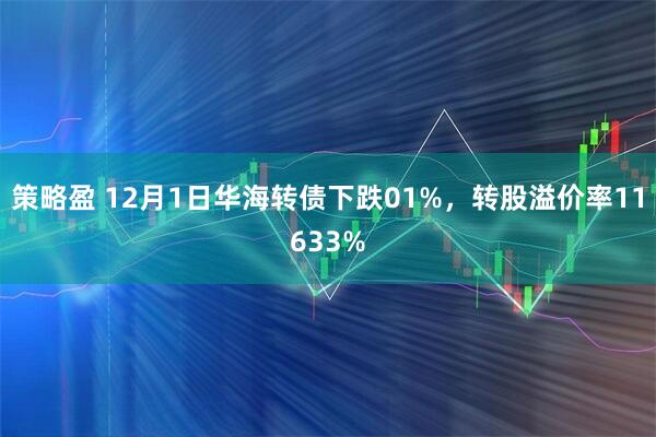 策略盈 12月1日华海转债下跌01%，转股溢价率11633%